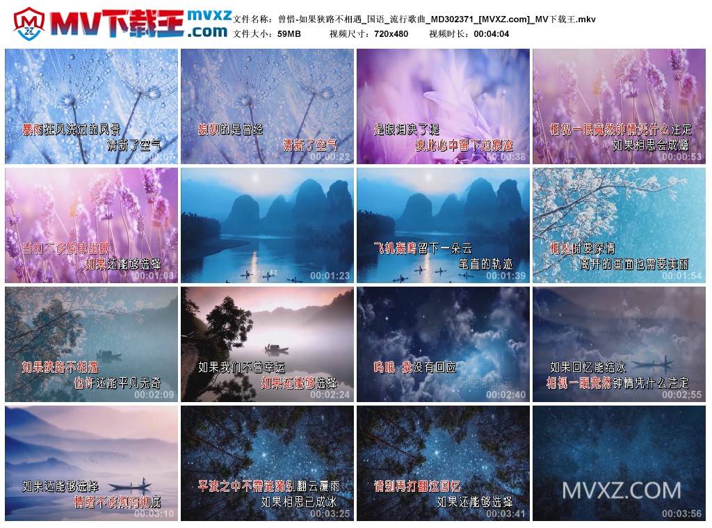 曾惜-如果狭路不相遇_国语_流行歌曲_MD302371